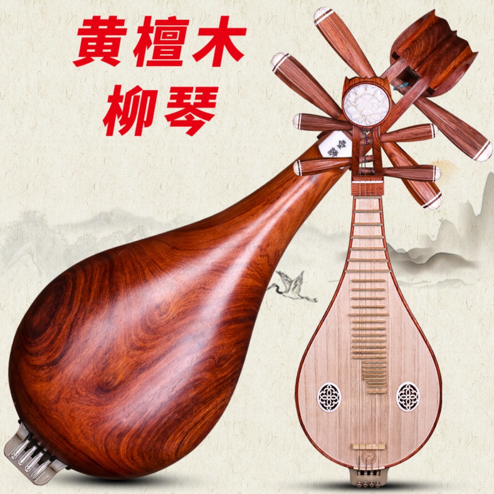 Beijing Xinghai 8414-A Rosewoo - Musical Instrument Of avis et prix