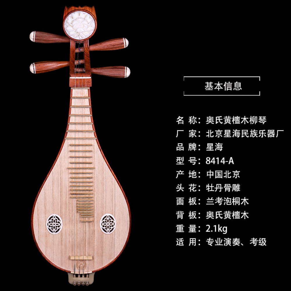 Beijing Xinghai 8414-A Rosewoo - Musical Instrument Of avis et prix