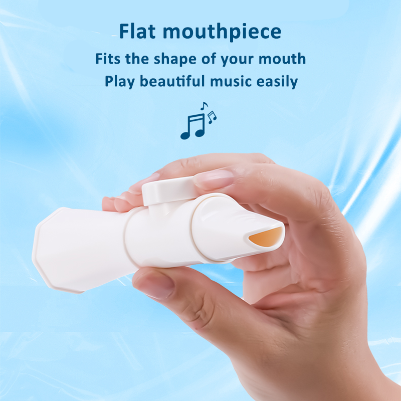 Kazoos for Adults Washable Kaz - Musical Instrument Easy To Learn For Adults avis et prix