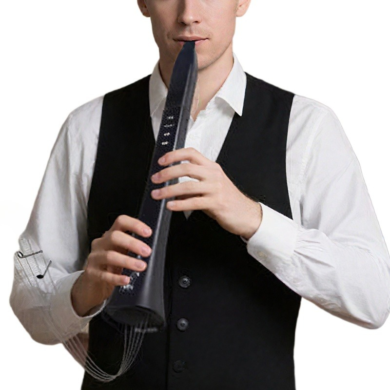 Portable Electronic Wind Instr - Musical Instrument Of avis et prix
