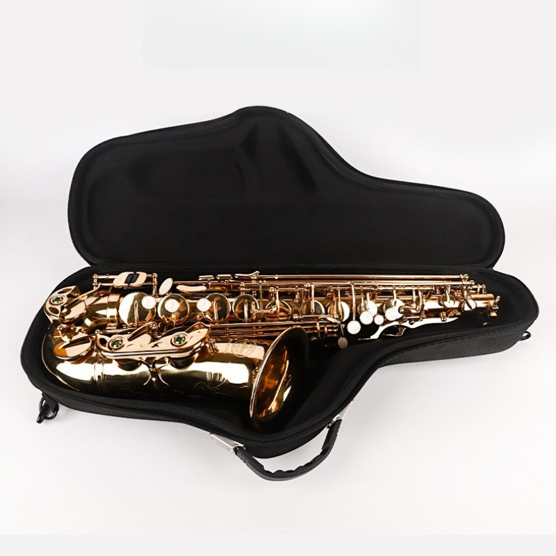 Oxford Cloth Alto Saxophone Ba - Musical Instrument Saxophone avis et prix