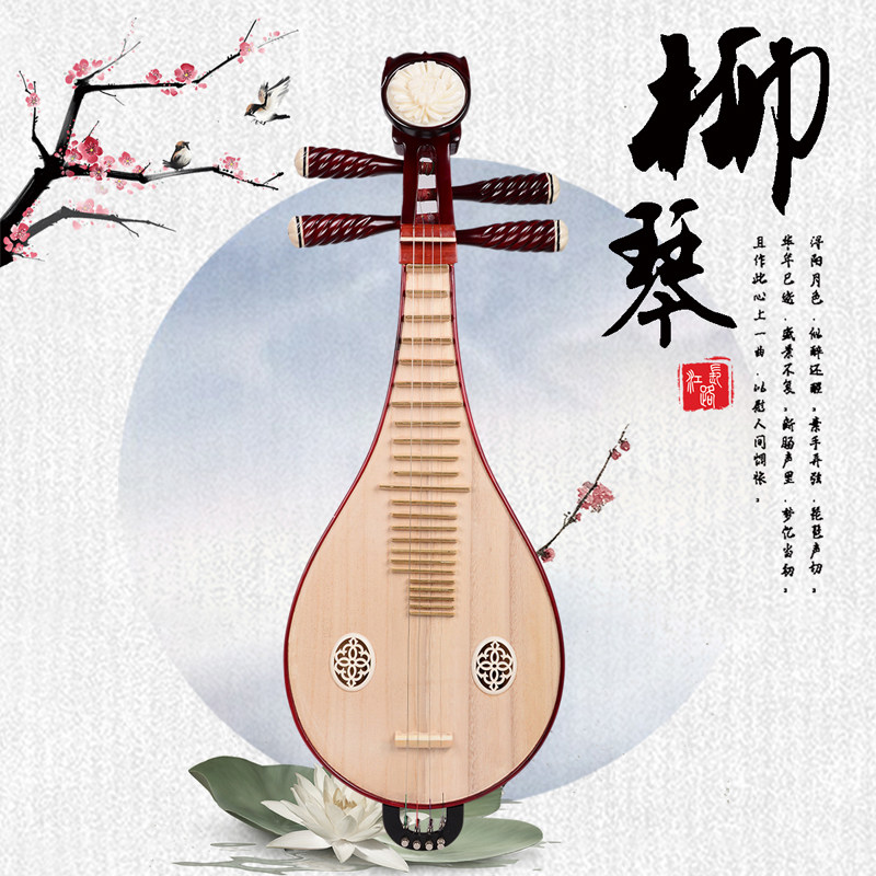 Professional Performance & Gra - Musical Instrument Of avis et prix