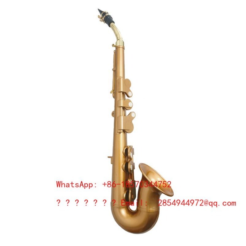 Resin Saxophone Musical Instru - Musical Instrument Easy To Learn For Adults avis et prix